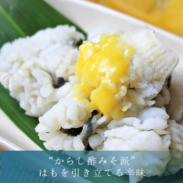 鱧（ハモ）しゃぶセット_からし酢みそ