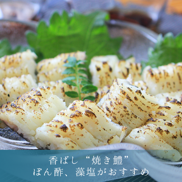 鱧（ハモ）しゃぶセット_焼き鱧