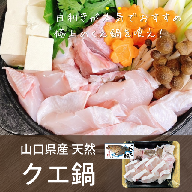 ＜３D冷凍＞送料無料 幻の高級魚 山口県産 天然クエ鍋500g（切身・アラ） ／下関工場直送、株式会社魚重
