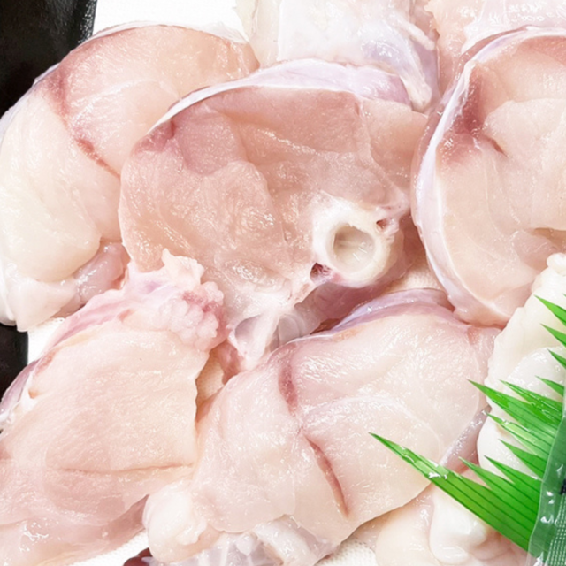 国産天然とらふぐちり鍋500g