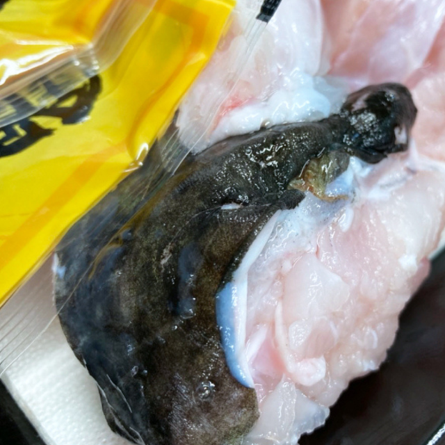 国産天然とらふぐちり鍋500g