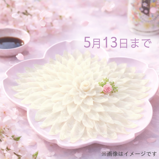 期間限定、とらふぐ刺身さくら皿