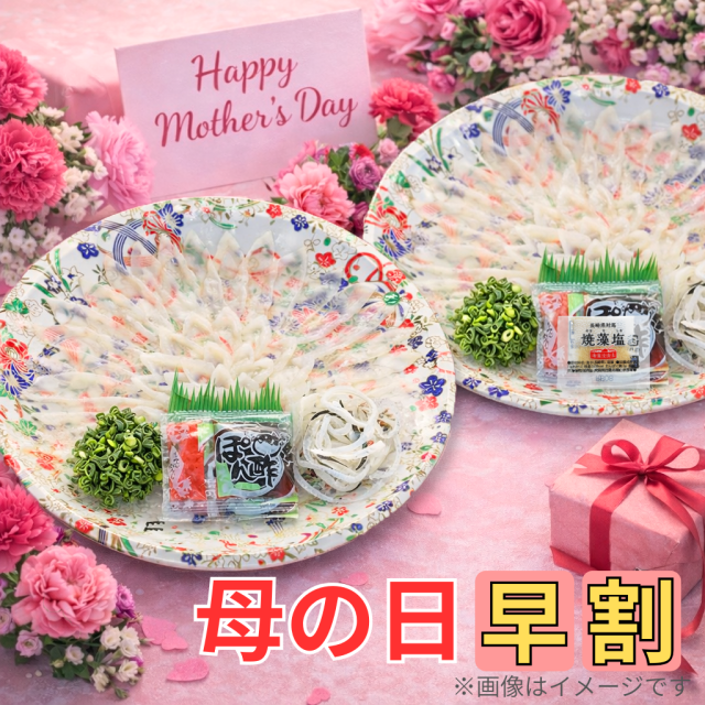 《早割4/20まで》〈P5倍〉送料無料 期間限定ペアセット【てまり皿Ver】-母の日-