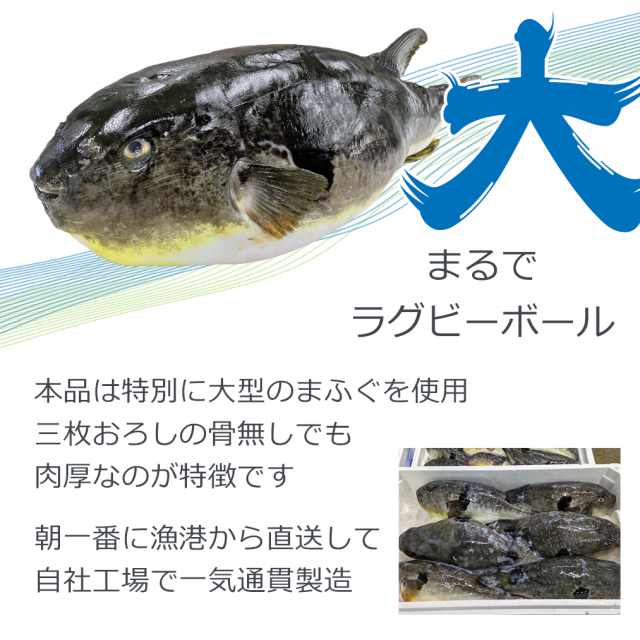 大型の天然まふぐを使用
