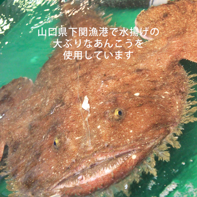 下関港水揚げの大ぶりなあんこうを使用