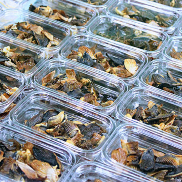 とらふぐ焼ひれ10g×2パック入り