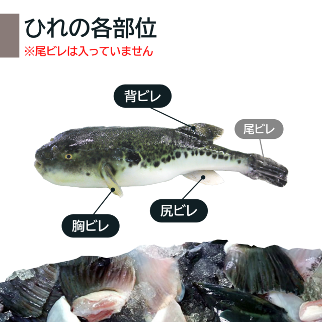 とらふぐ焼ひれ10g×2パック入り