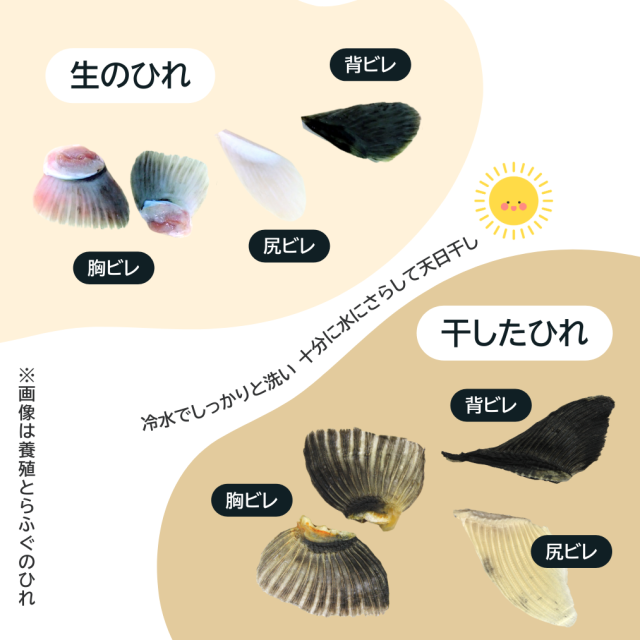 とらふぐ焼ひれ10g×4パック入り