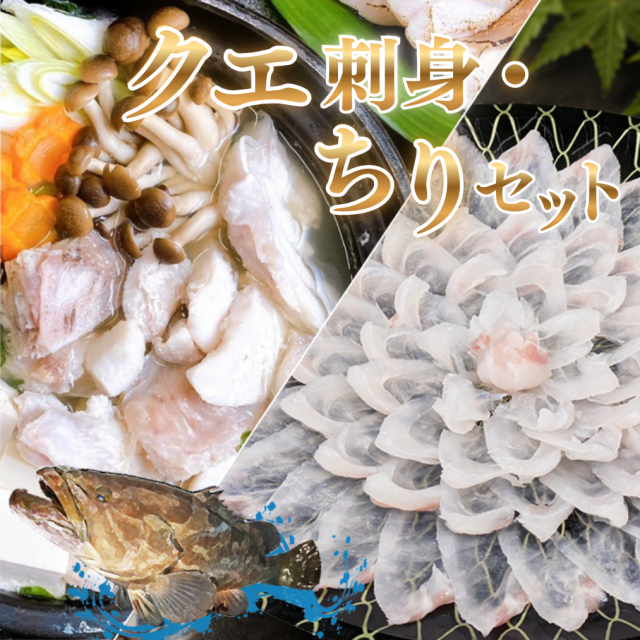 山口県産 天然クエ刺身・ちり鍋セット