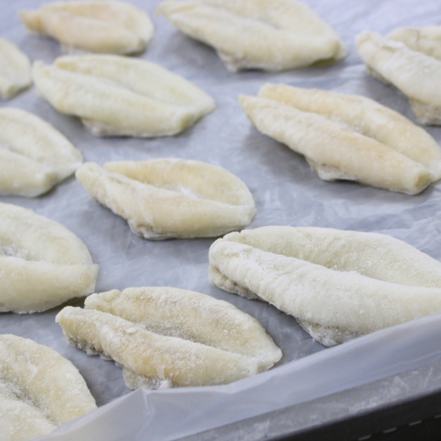 真ふぐ一夜干500g