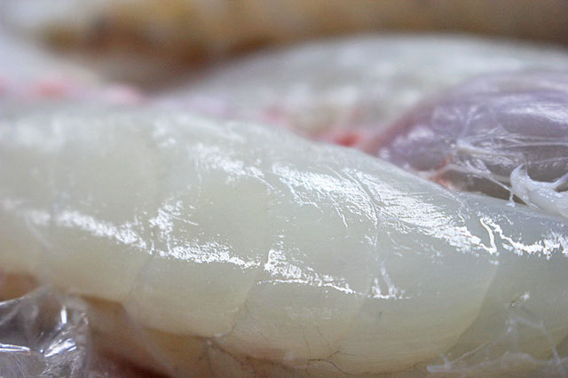 この色、艶。良質なとらふぐみがき