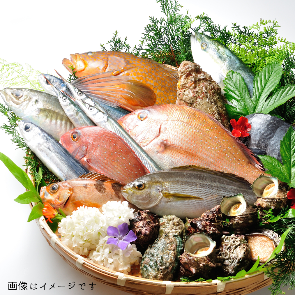 目利きのプロにおまかせ　ぶちうまい！海産物の定期便（送料無料）