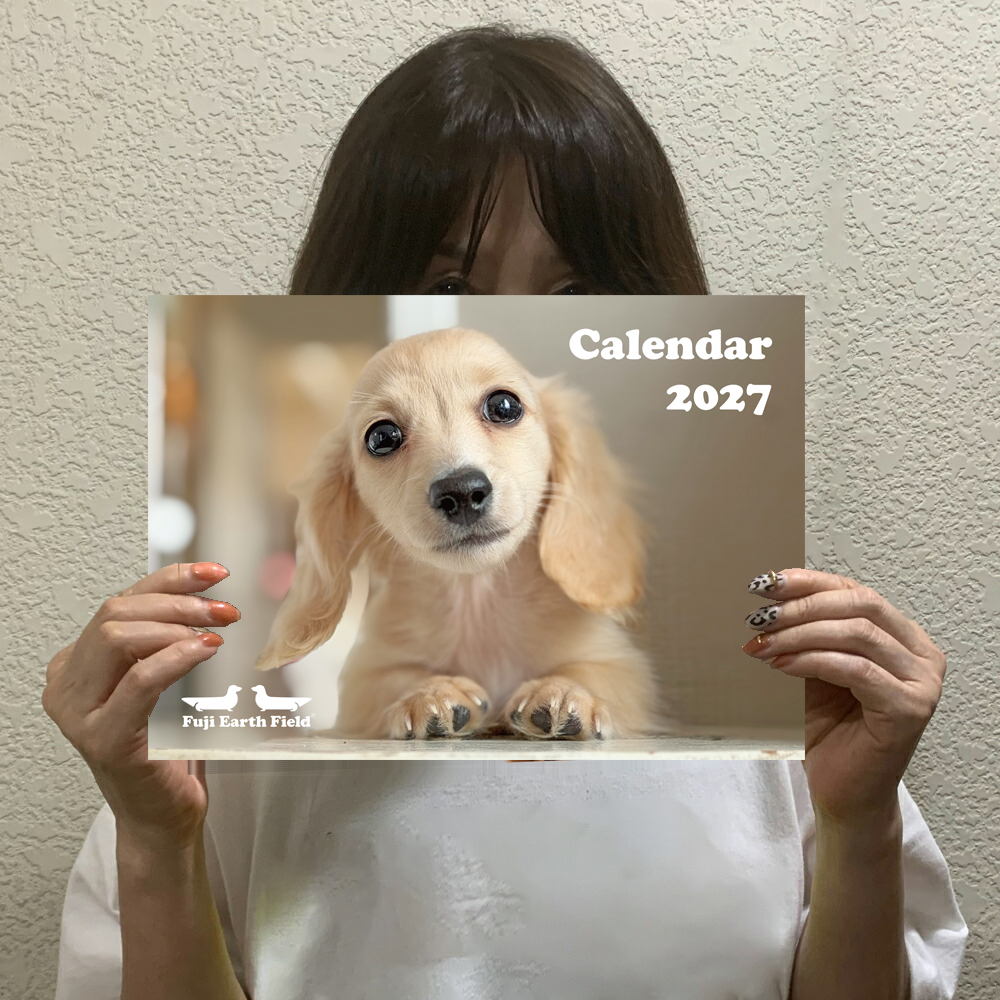 フジアースフィールド オリジナルカレンダー2027 Vol.2／メール便可