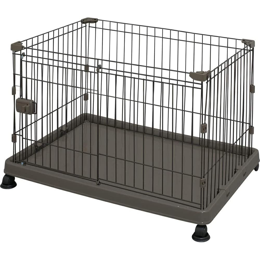 サークル・ブラウン