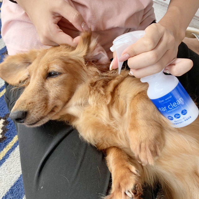 イヤークリーンウォーター スプレータイプ/100ml