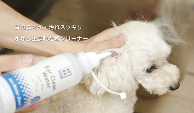 イヤークリーンウォーター