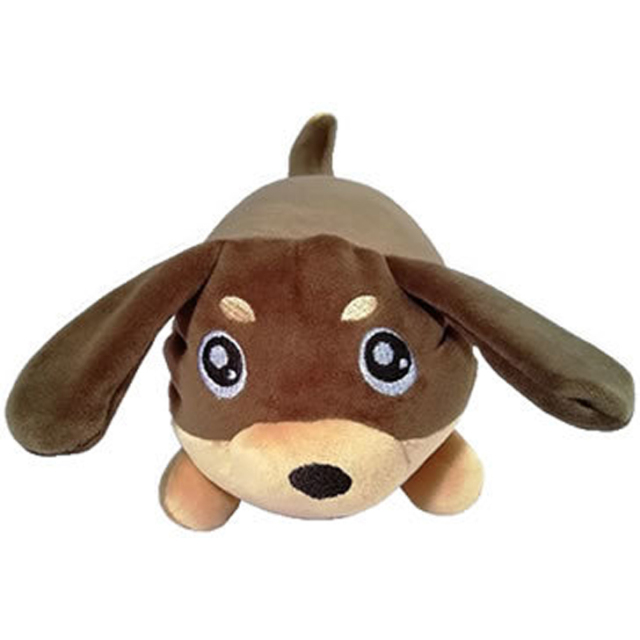 わんだFamily ダックス