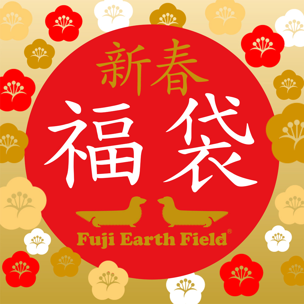 福袋（限定10個）