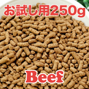 【お試し用お一人様1つ】フジアース・ビーフ 250g /送料無料・メール便出荷