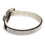 EAST SIDE COLLECTION VELVET RHINESTONE DOG Leads & Collars Set/Black