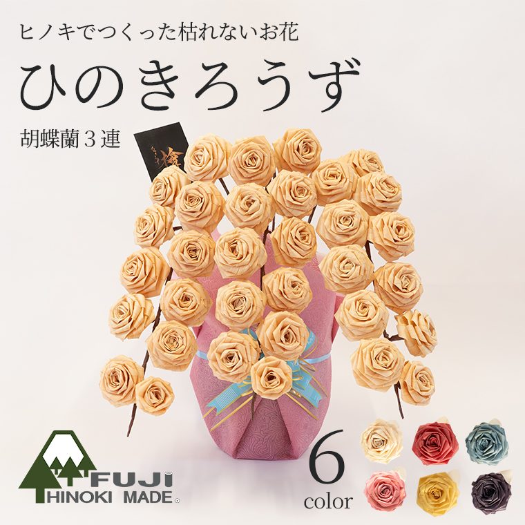 ひのきろうず胡蝶蘭風3連