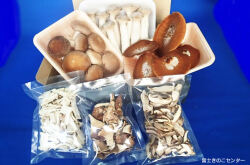 富士山タマチョレイ茸、エリンギ、椎茸「美味しいきのこセット」