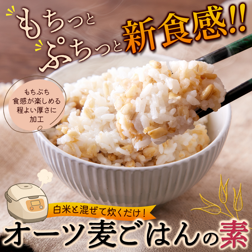 オーツ麦ごはんの素1kg1
