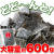 都こんぶ600g3