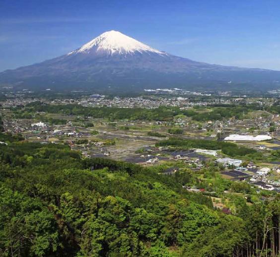 甘酒 静岡 | 富士山甘酒 900ml | 富士錦酒造