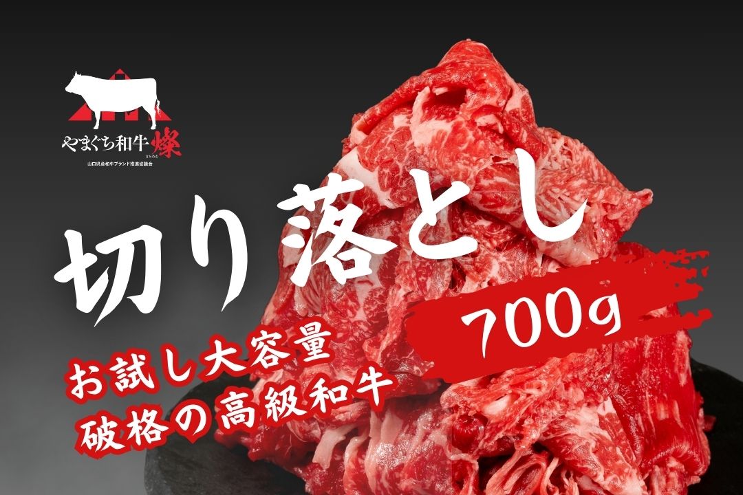 【お試しセット】やまぐち和牛 燦　切り落とし特盛
