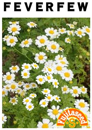 フィーバーフュー