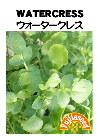ウォータークレス
