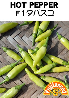 F1 タバスコ