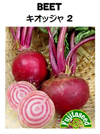ビーツ　キオッジャ２