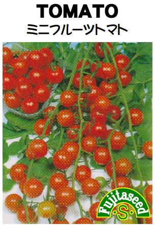 ミニフルーツトマト