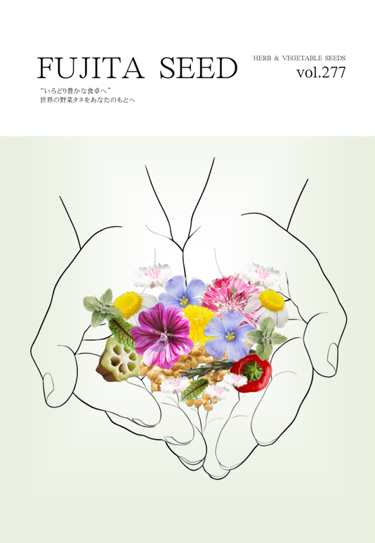 カタログ（vol.277）