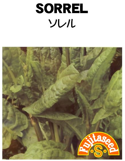 ソレル