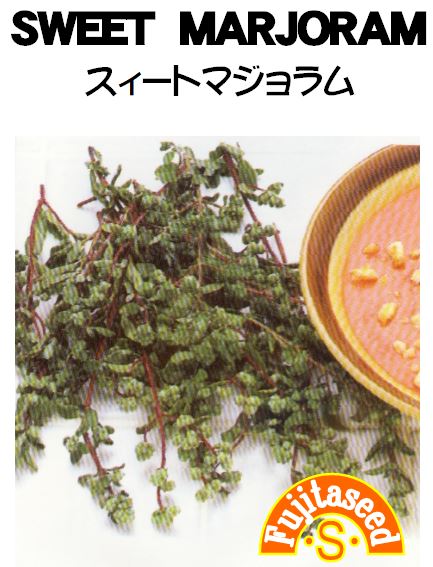 スィートマジョラム