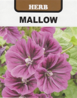 マロー（薄紅あおい）