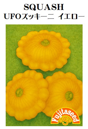 UFOズッキーニ　イエロー