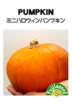 ミニハロウィンパンプキン
