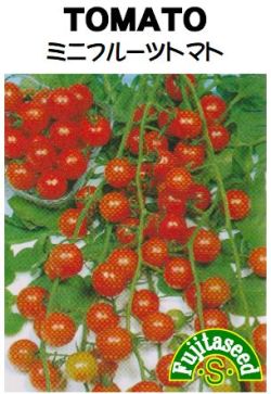 ミニフルーツトマト