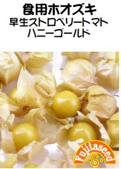 ハニーゴールド