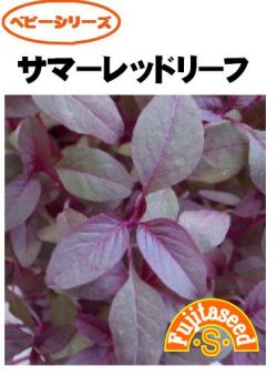 サマーレッドリーフ