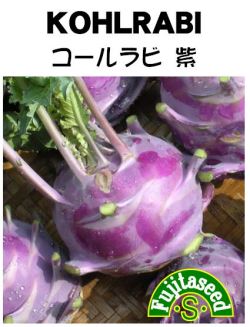 コールラビ紫