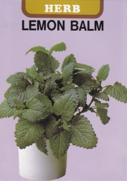 レモンバーム