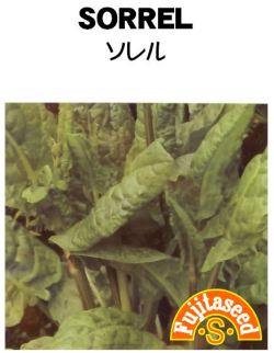 ソレル