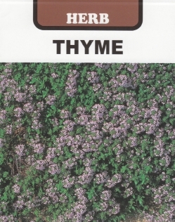 タイム　クリーピングタイム