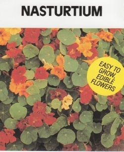 ナスターチュウム