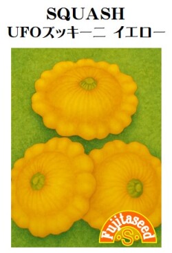 UFOズッキーニ　イエロー